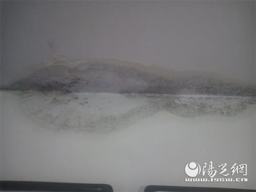咸阳一小区多栋楼房漏雨