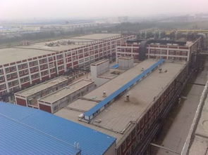 大化纤缝纫线 化纤厂的核心原料与终端应用解析